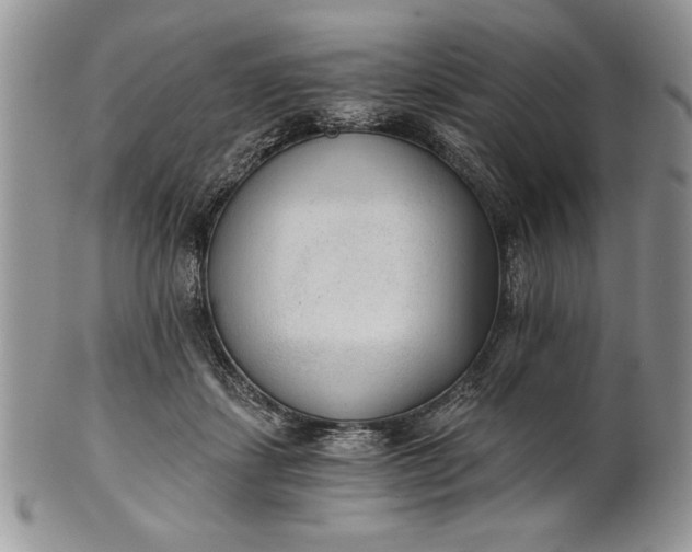 X0000101950459200808011049