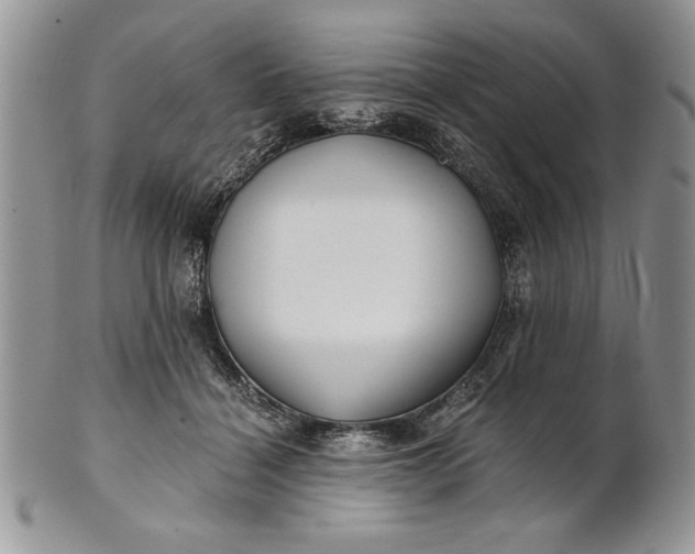 X0000101950460200808011049