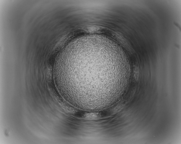 X0000101950461200808011049