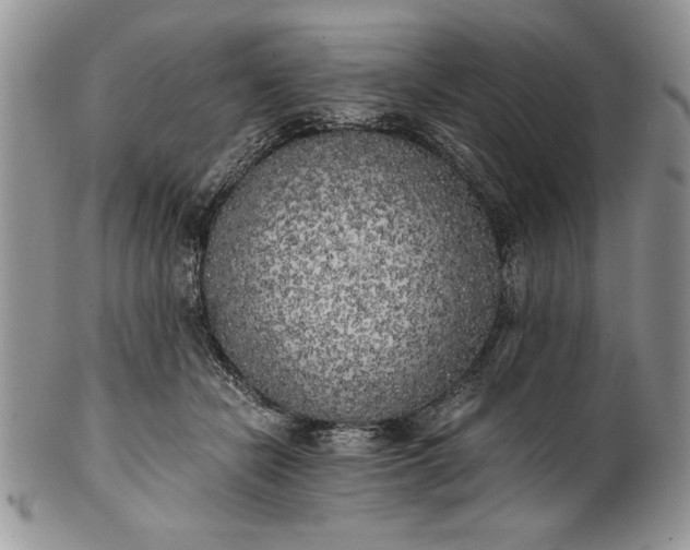 X0000101950462200808011049