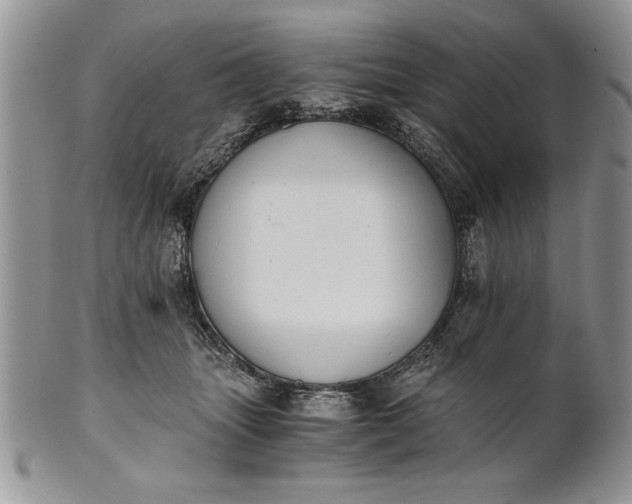 X0000101950463200808011049