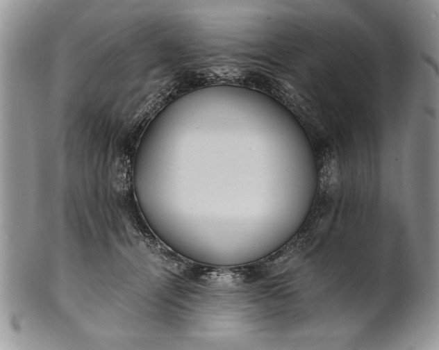 X0000101950464200808011049