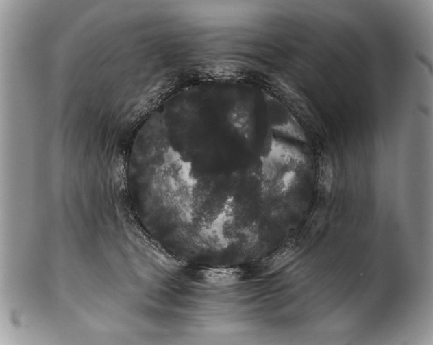 X0000101950465200808011049