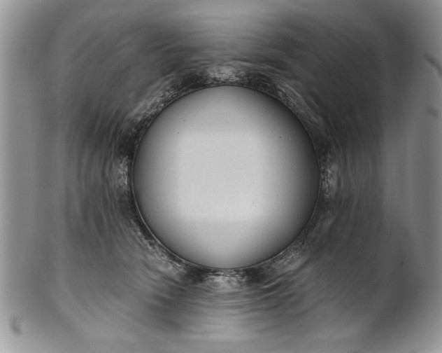 X0000101950466200808011049