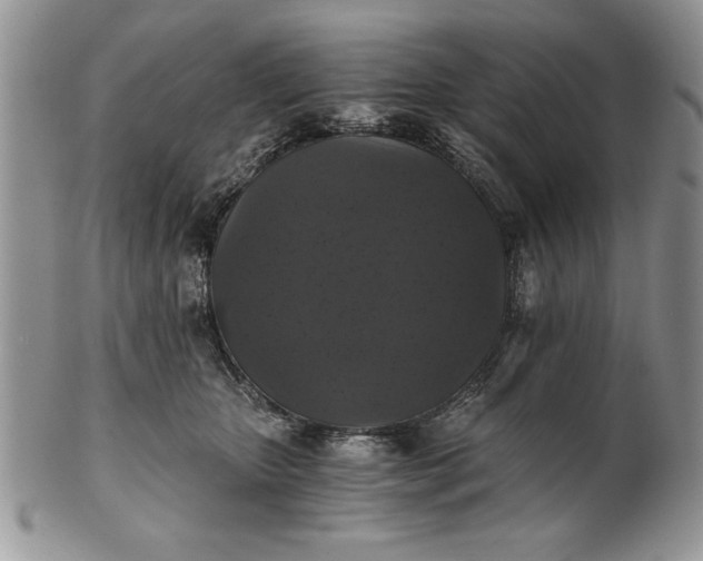 X0000101950467200808011049