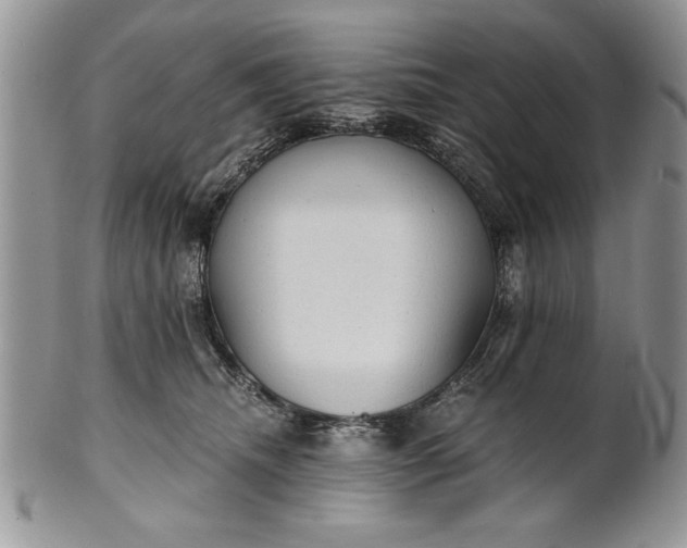 X0000101950468200808011049