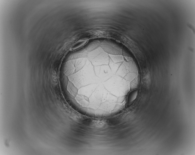 X0000101950469200808011049