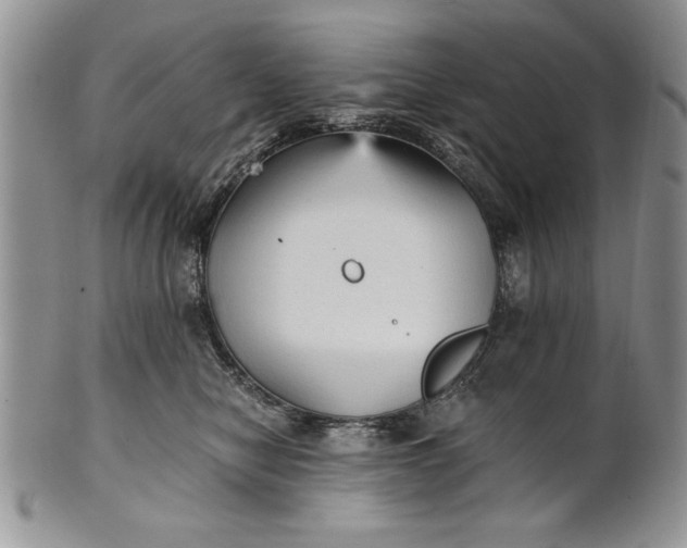 X0000101950470200808011049