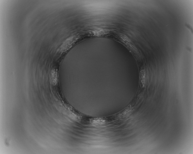 X0000101950471200808011049