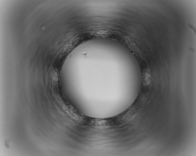 X0000101950472200808011049