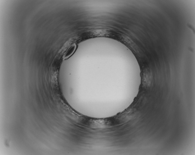 X0000101950473200808011049