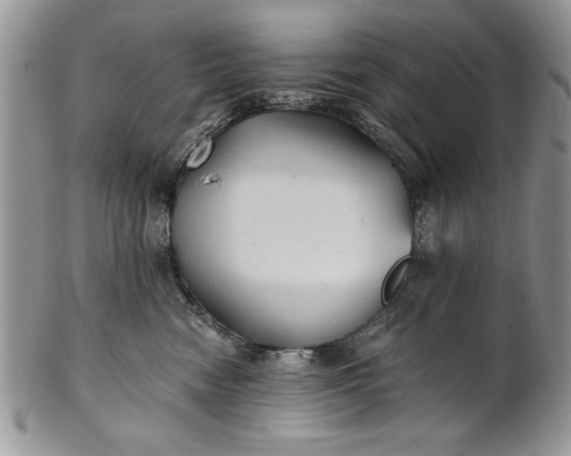 X0000101950474200808011049