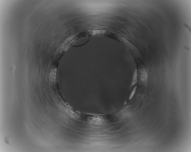 X0000101950475200808011049