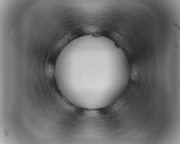 X0000101950476200808011049