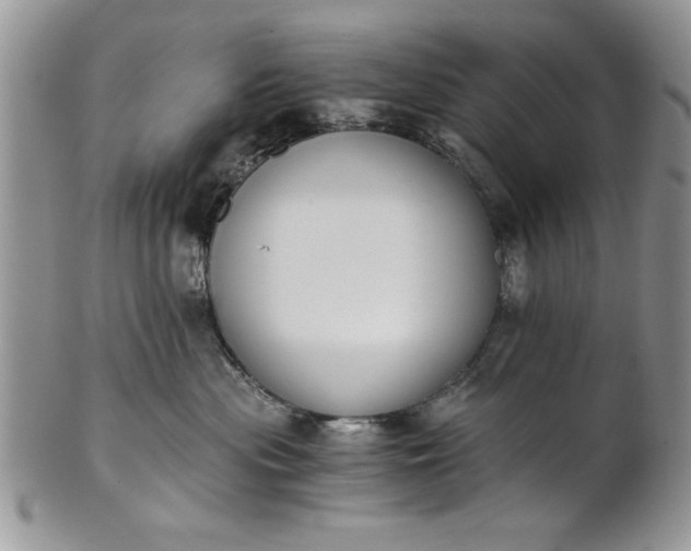 X0000101950477200808011049