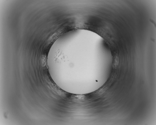 X0000101950478200808011049