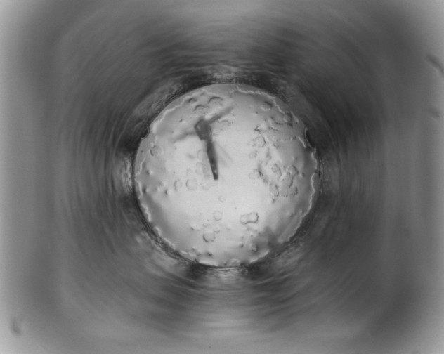 X0000101950479200808011049