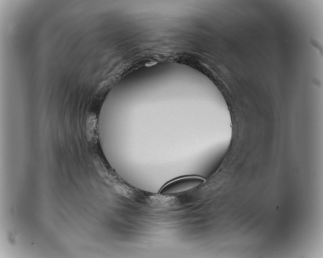 X0000101950480200808011049