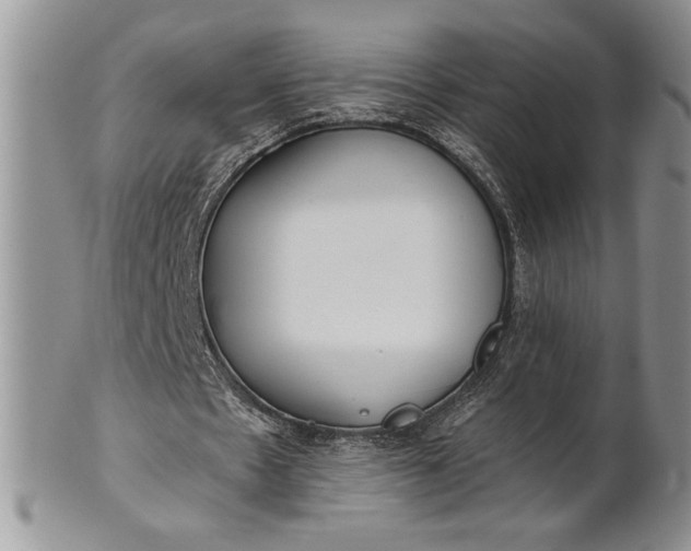 X0000101950481200808011049