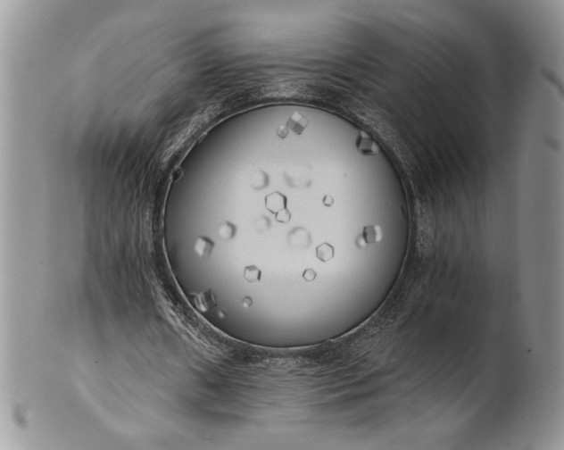 X0000101950482200808011049