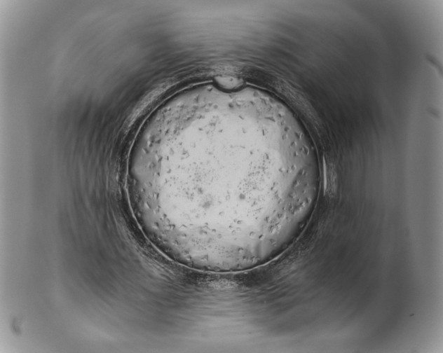 X0000101950483200808011049