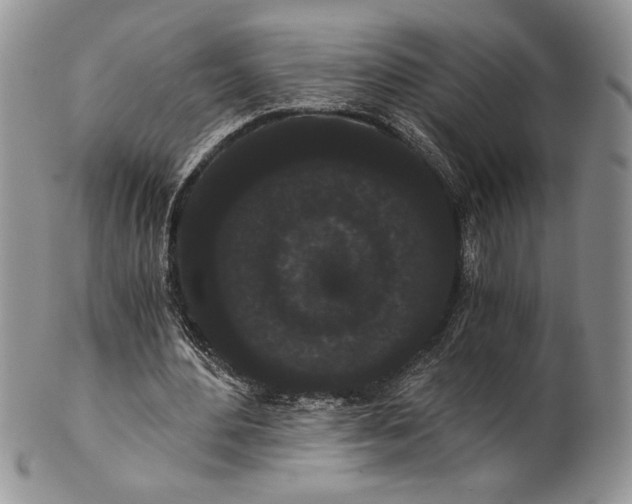 X0000101950484200808011049