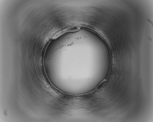 X0000101950485200808011049