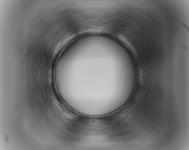 X0000101950486200808011049