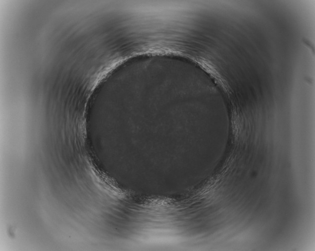 X0000101950488200808011049