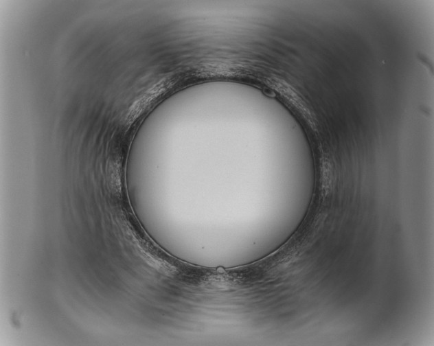 X0000101950489200808011049