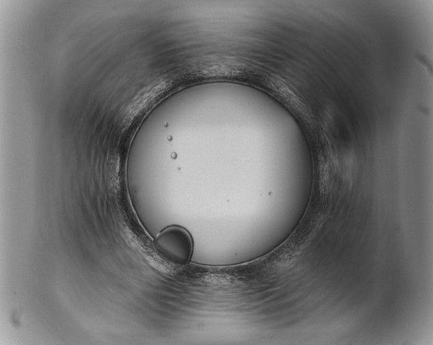 X0000101950490200808011049