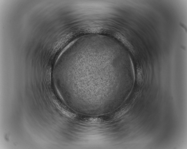 X0000101950493200808011049