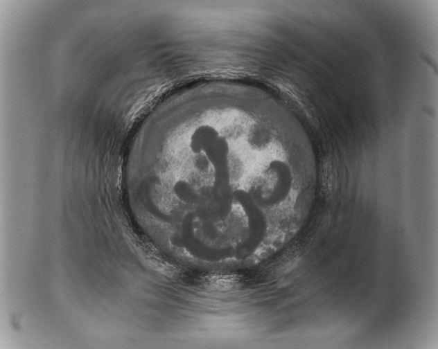 X0000101950495200808011049