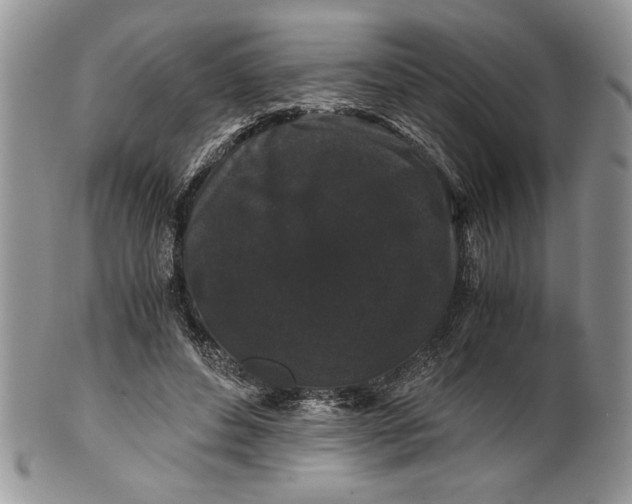 X0000101950496200808011048