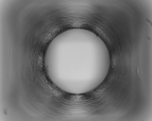 X0000101950497200808011048