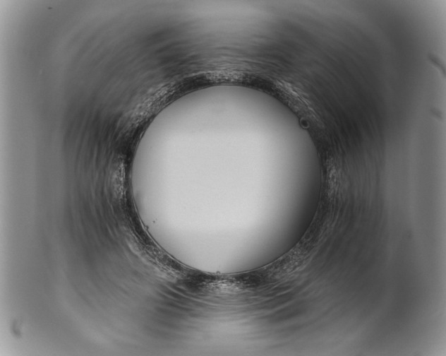 X0000101950498200808011048