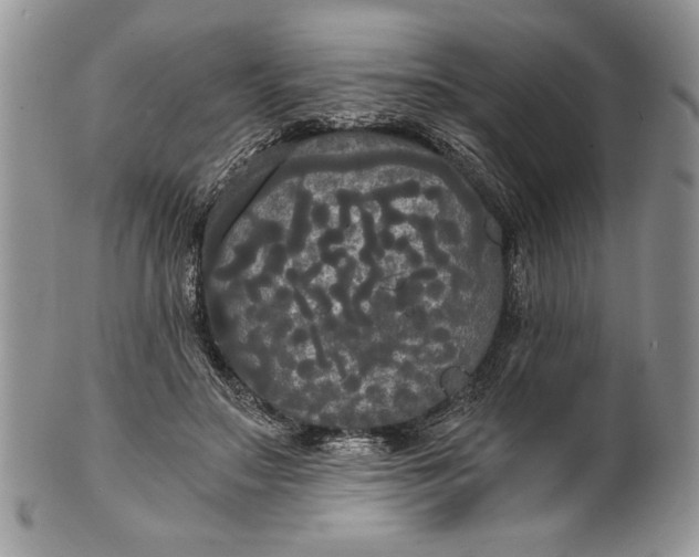 X0000101950499200808011048