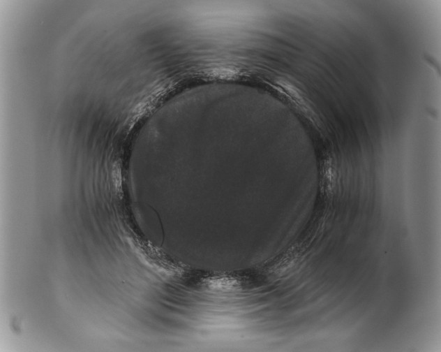 X0000101950500200808011048