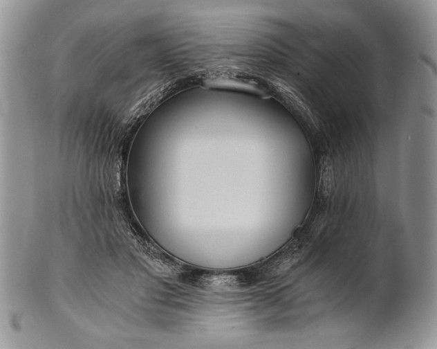 X0000101950501200808011048