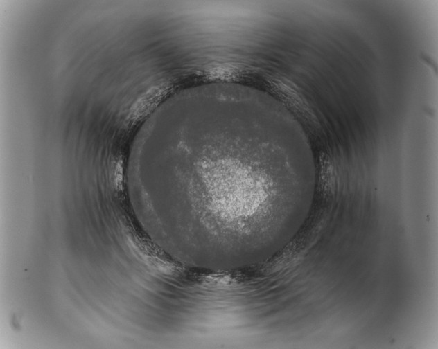 X0000101950502200808011048