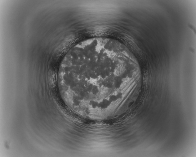 X0000101950503200808011048