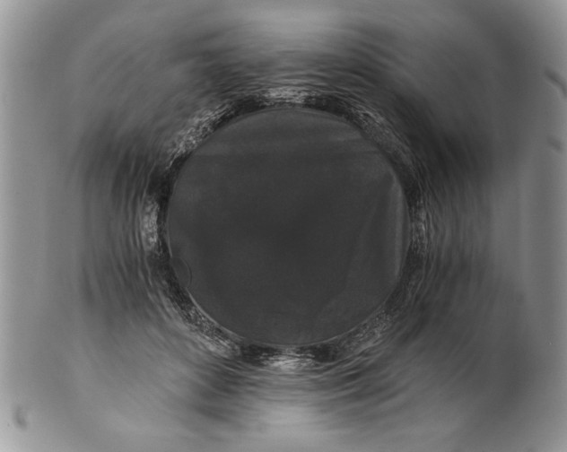 X0000101950504200808011048