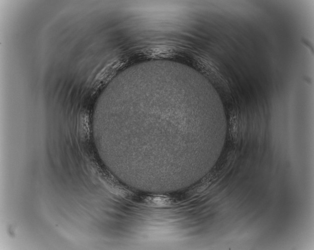 X0000101950506200808011048