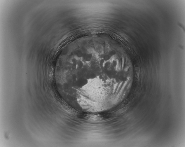 X0000101950507200808011048