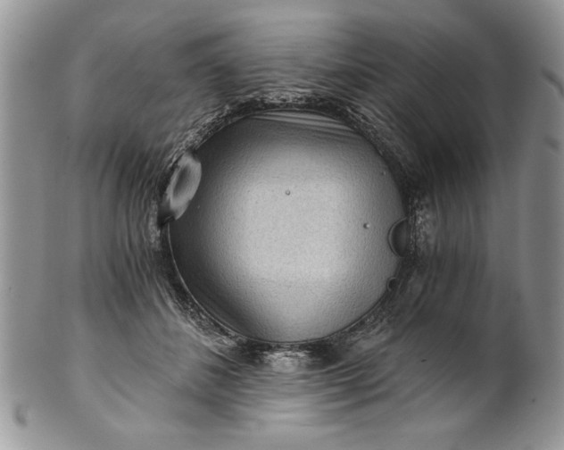 X0000101950508200808011048