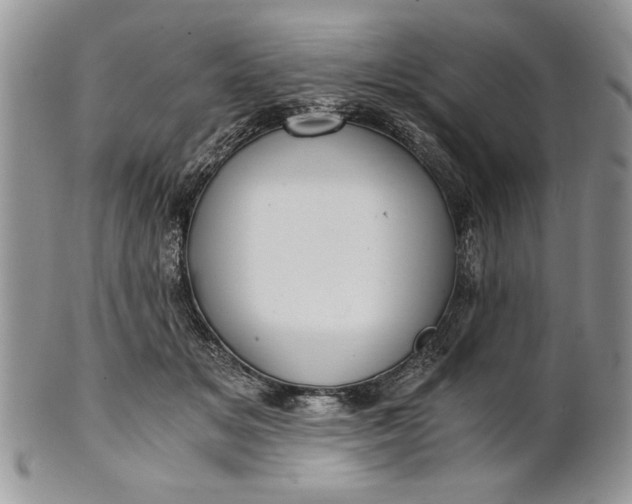 X0000101950509200808011048