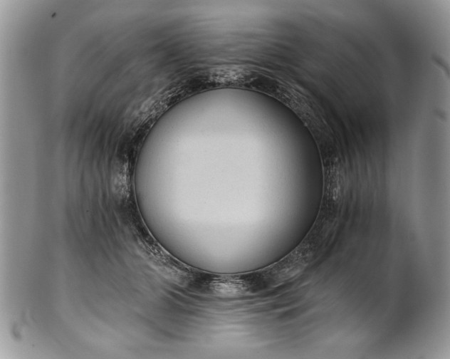 X0000101950510200808011048