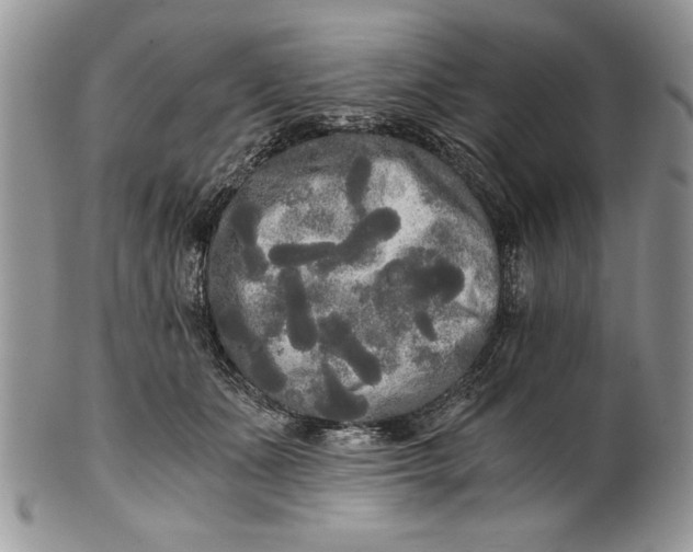 X0000101950511200808011048