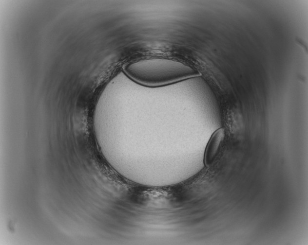 X0000101950512200808011048