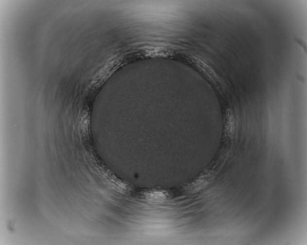 X0000101950513200808011048